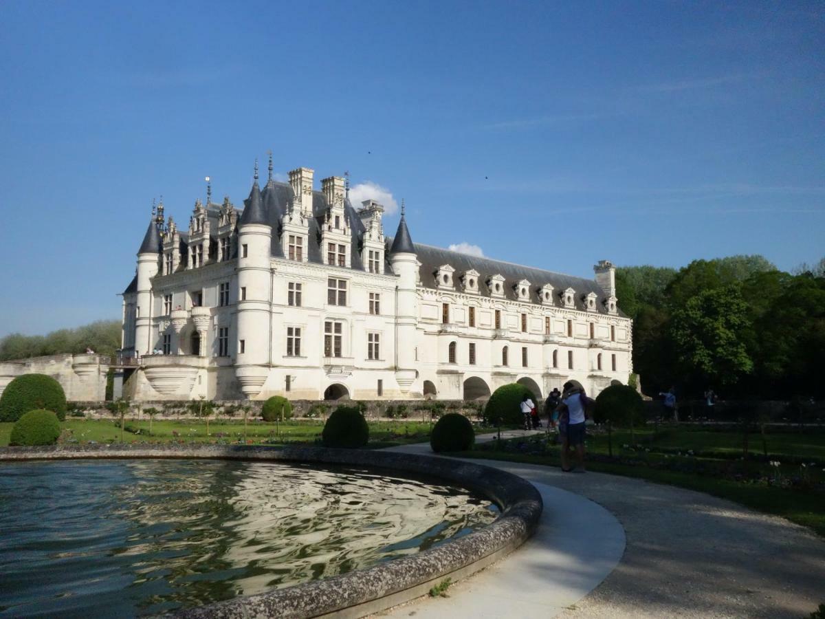 Apartmán 2 Pieces Proche Beauval Et Chateaux Montrichard Exteriér fotografie